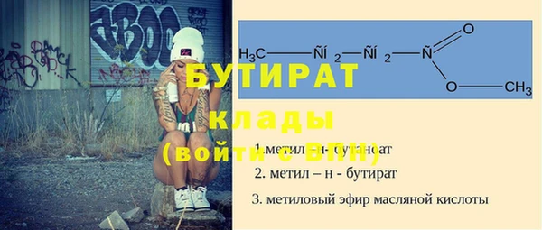 индика Кинешма