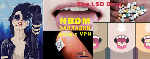 индика Кинешма