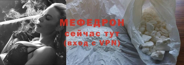 индика Кинешма