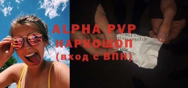 индика Кинешма