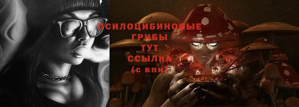 индика Кинешма