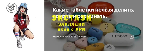 индика Кинешма