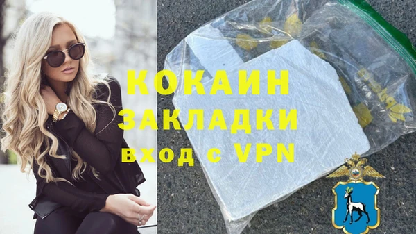индика Кинешма