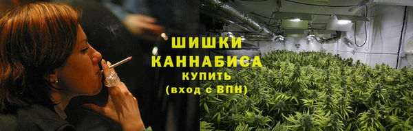индика Кинешма