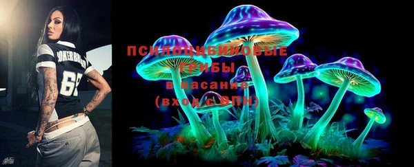 индика Кинешма