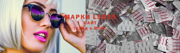 индика Кинешма