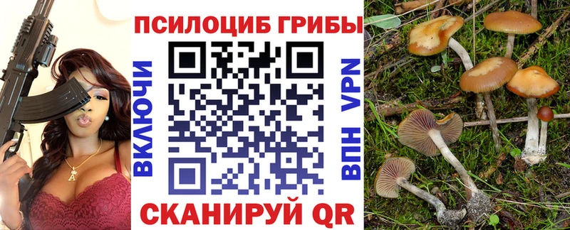 Купить закладки  Покров  Галлюциногенные грибы мицелий 